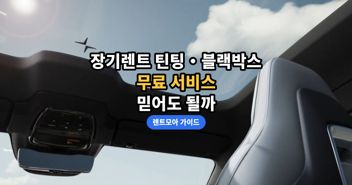 틴팅・블랙박스 확인법 썸네일