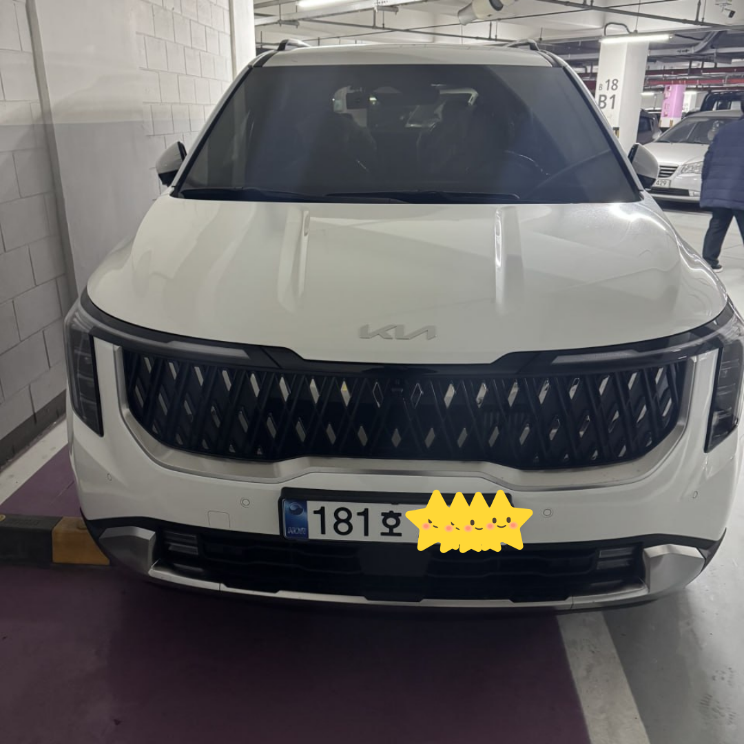 카니발 이용후기 사진